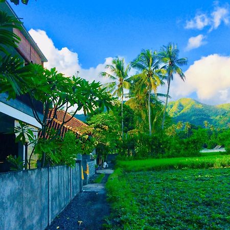 D'Uma Amed Homestay Экстерьер фото