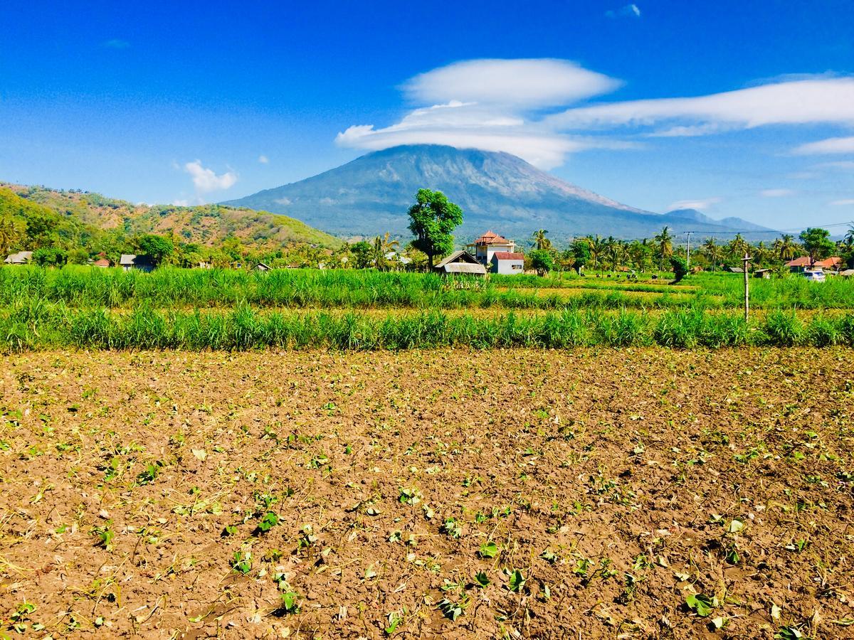 D'Uma Amed Homestay Экстерьер фото